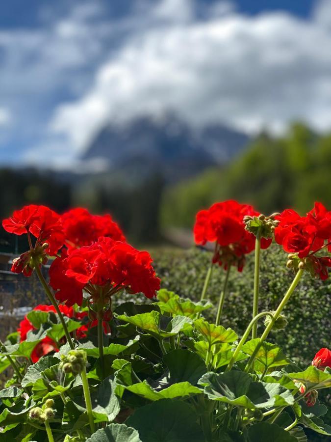 Chalet Tirolia ブーヘン エクステリア 写真
